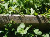 image of grave number 909083